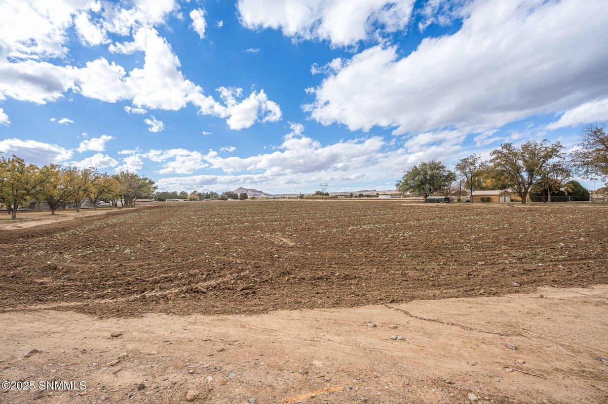 3635 N Valley Drive, Las Cruces, NM 88007 photo 13