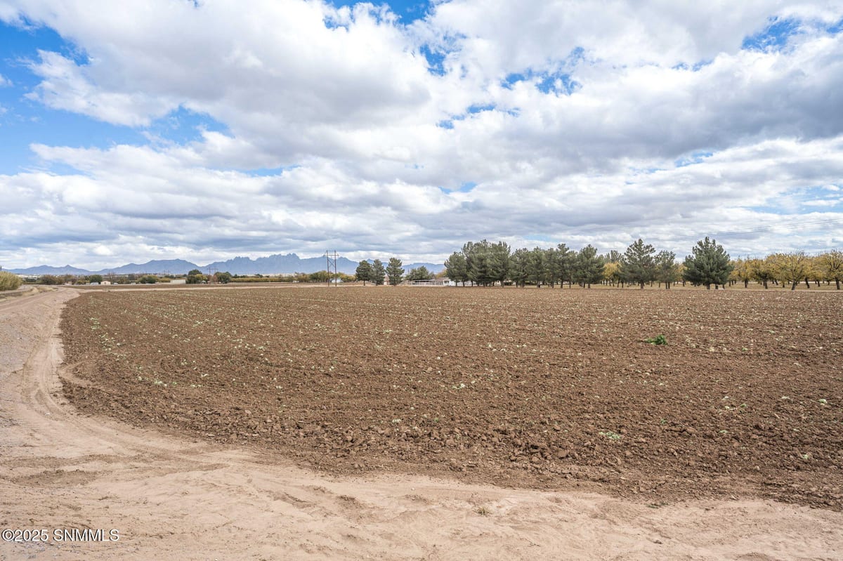 3635 N Valley Drive, Las Cruces, NM 88007 photo 14