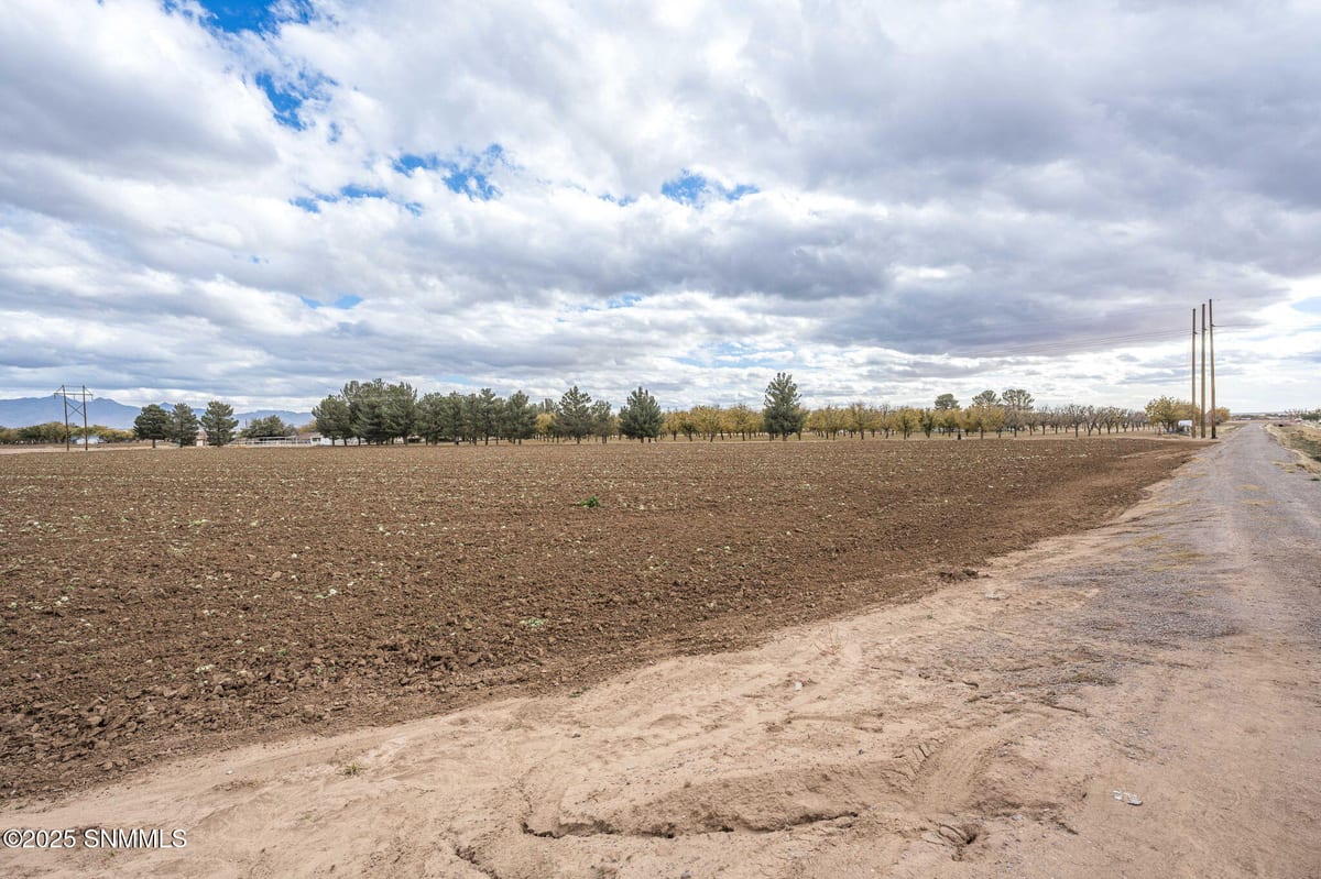 3635 N Valley Drive, Las Cruces, NM 88007 photo 15