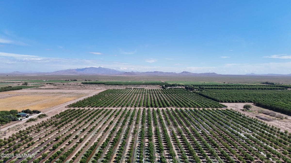 TBD Lomita Rd SE #Block 6 Lot 3, Deming, NM 88030, foto 16