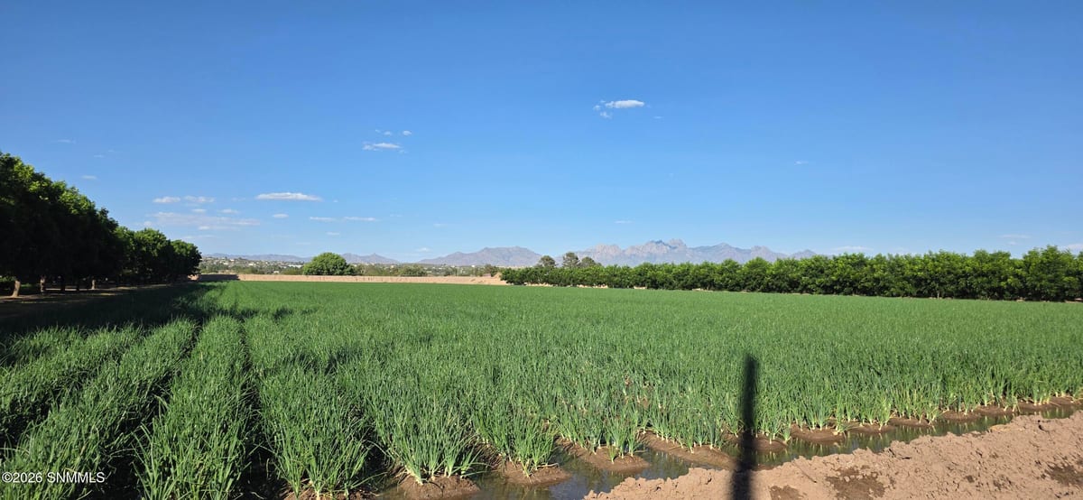 100 Fontana Way, Las Cruces, NM 88007 photo 1