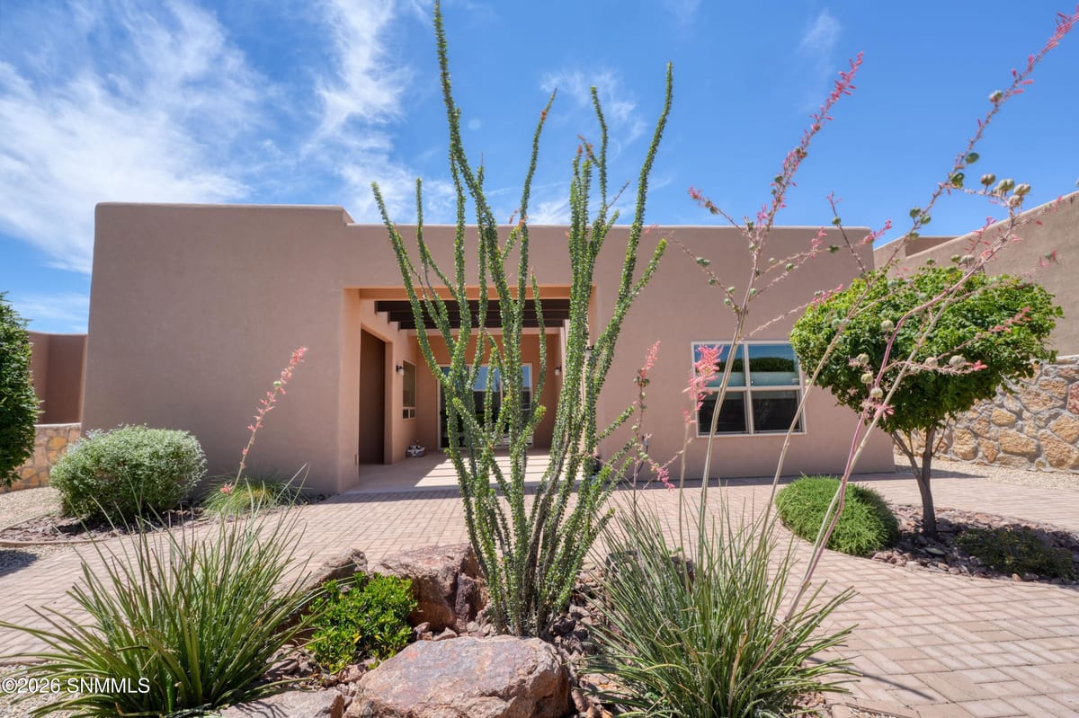 8164 Willow Bloom Circle, Las Cruces, NM 88007, foto 12
