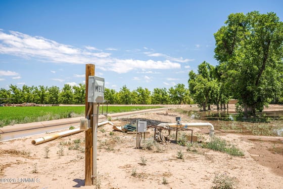 2917 Snow Road, Las Cruces, NM 88005 photo 5