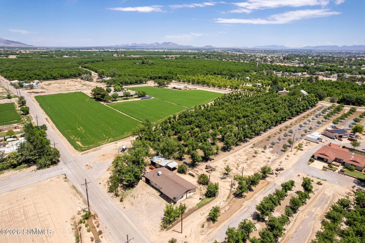 2917 Snow Road, Las Cruces, NM 88005 photo 9