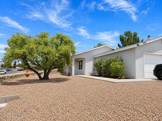 3801 Tiger Eye Drive, Las Cruces, NM 88012 photo 3