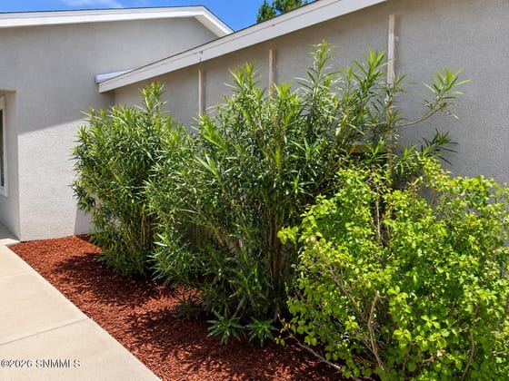 3801 Tiger Eye Drive, Las Cruces, NM 88012 photo 4