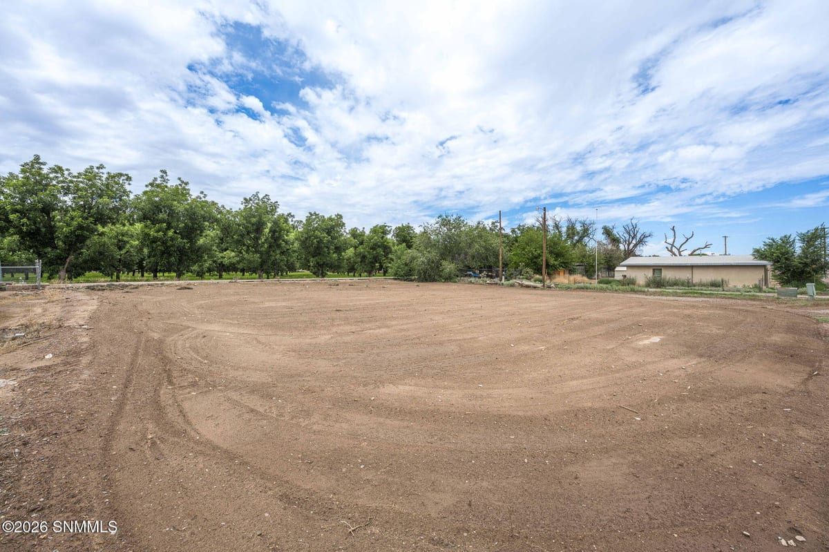 1814 Calle De El Paso, Mesilla, NM 88046 photo 12