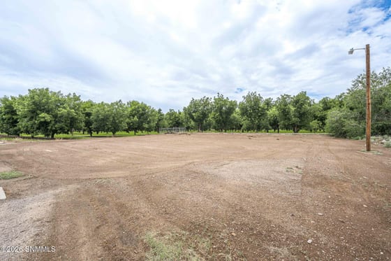 1814 Calle De El Paso, Mesilla, NM 88046 photo 4
