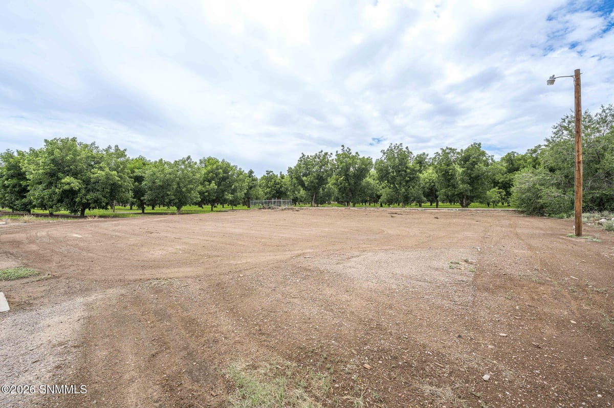 1814 Calle De El Paso, Mesilla, NM 88046 photo 4