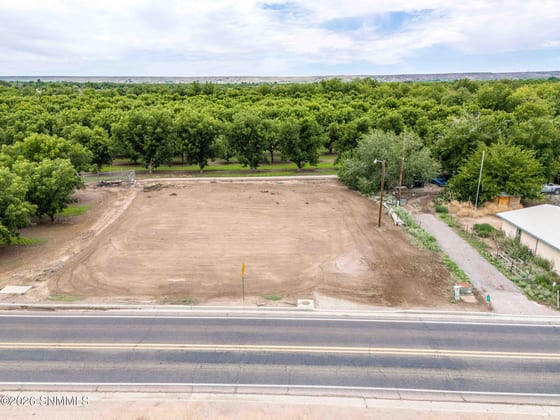 1814 Calle De El Paso, Mesilla, NM 88046 photo 5