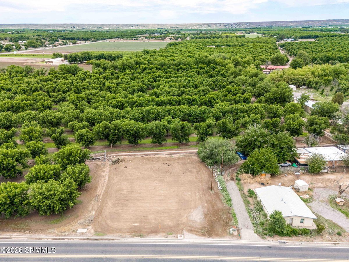 1814 Calle De El Paso, Mesilla, NM 88046 photo 8