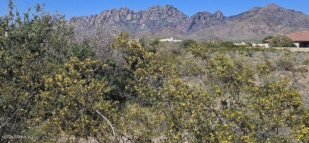 4999 Modoc Road, Las Cruces, NM 88011, foto 6