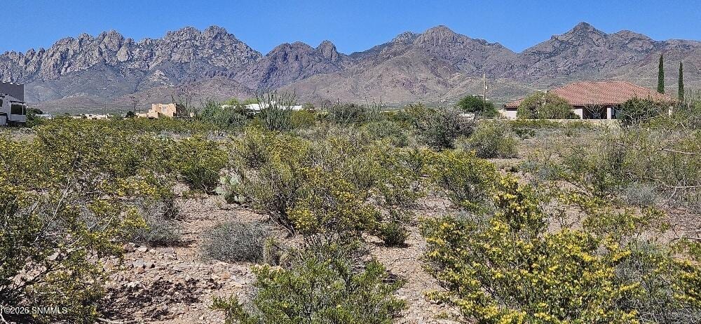 4999 Modoc Road, Las Cruces, NM 88011, foto 7
