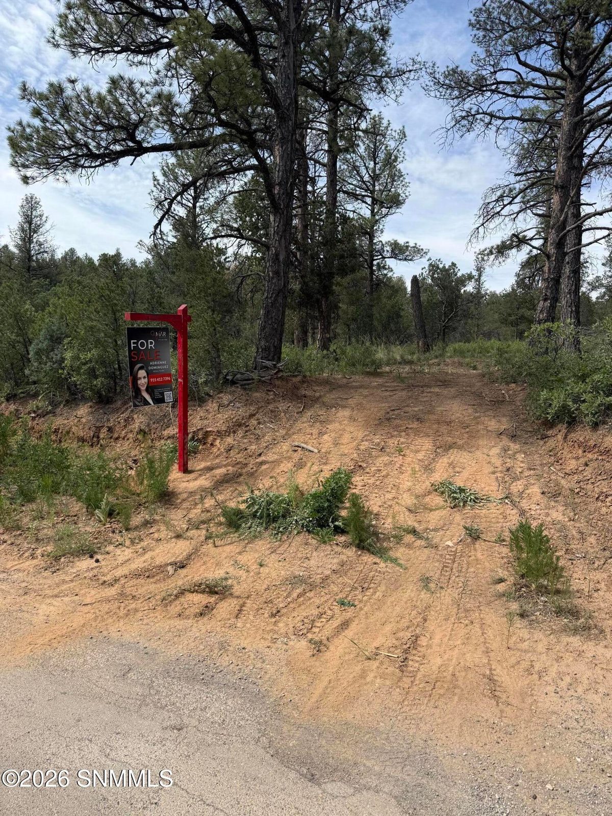 3 SACRAMENTO, Timberon, NM 88350 photo 2