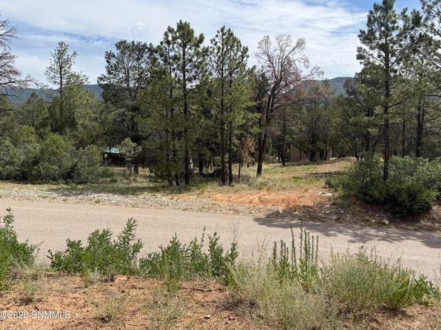 3 SACRAMENTO, Timberon, NM 88350 photo 3