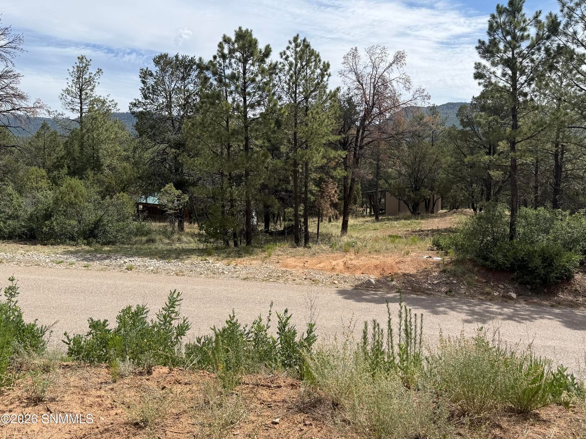 3 SACRAMENTO, Timberon, NM 88350 photo 3