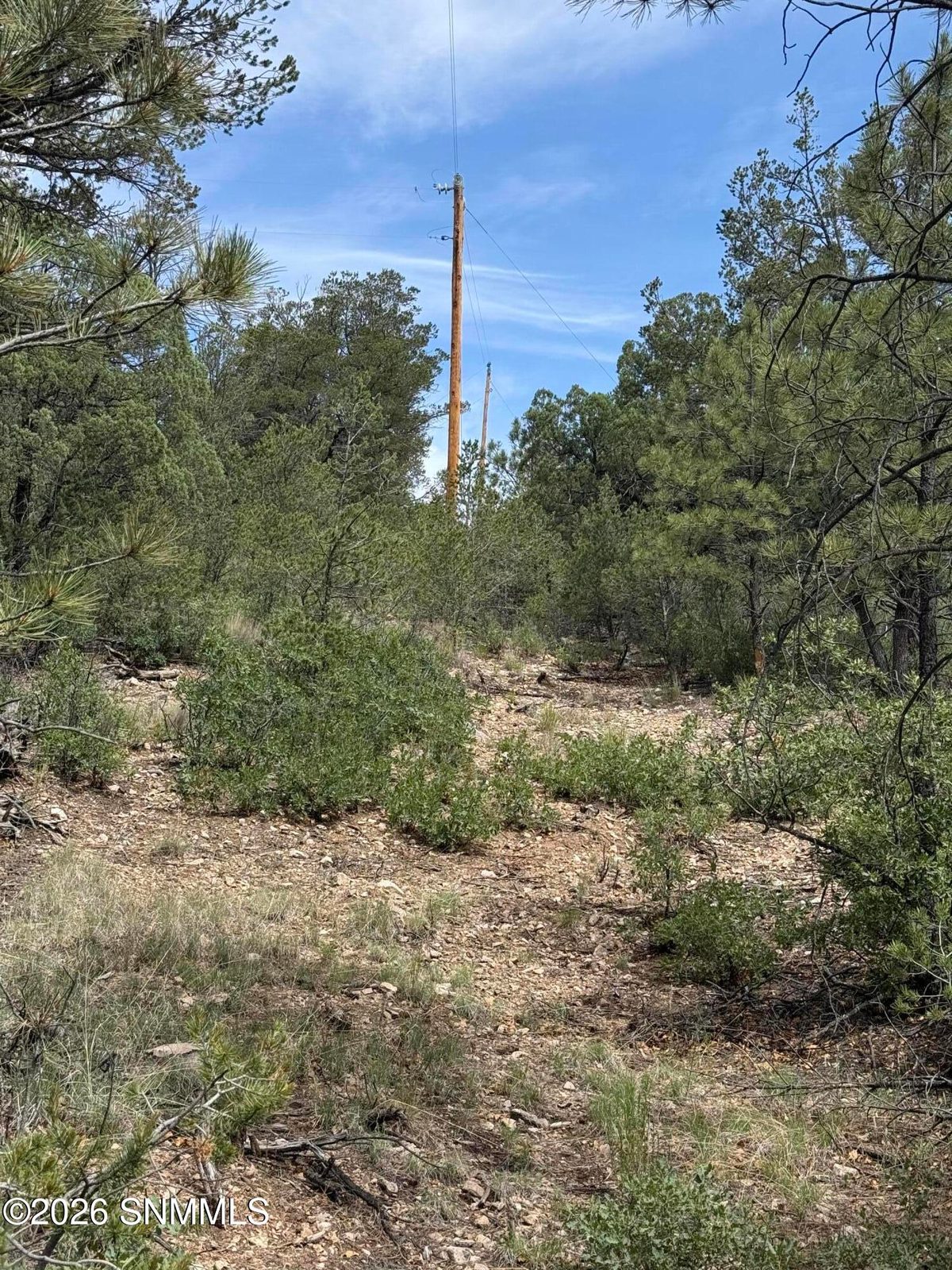 3 SACRAMENTO, Timberon, NM 88350 photo 6