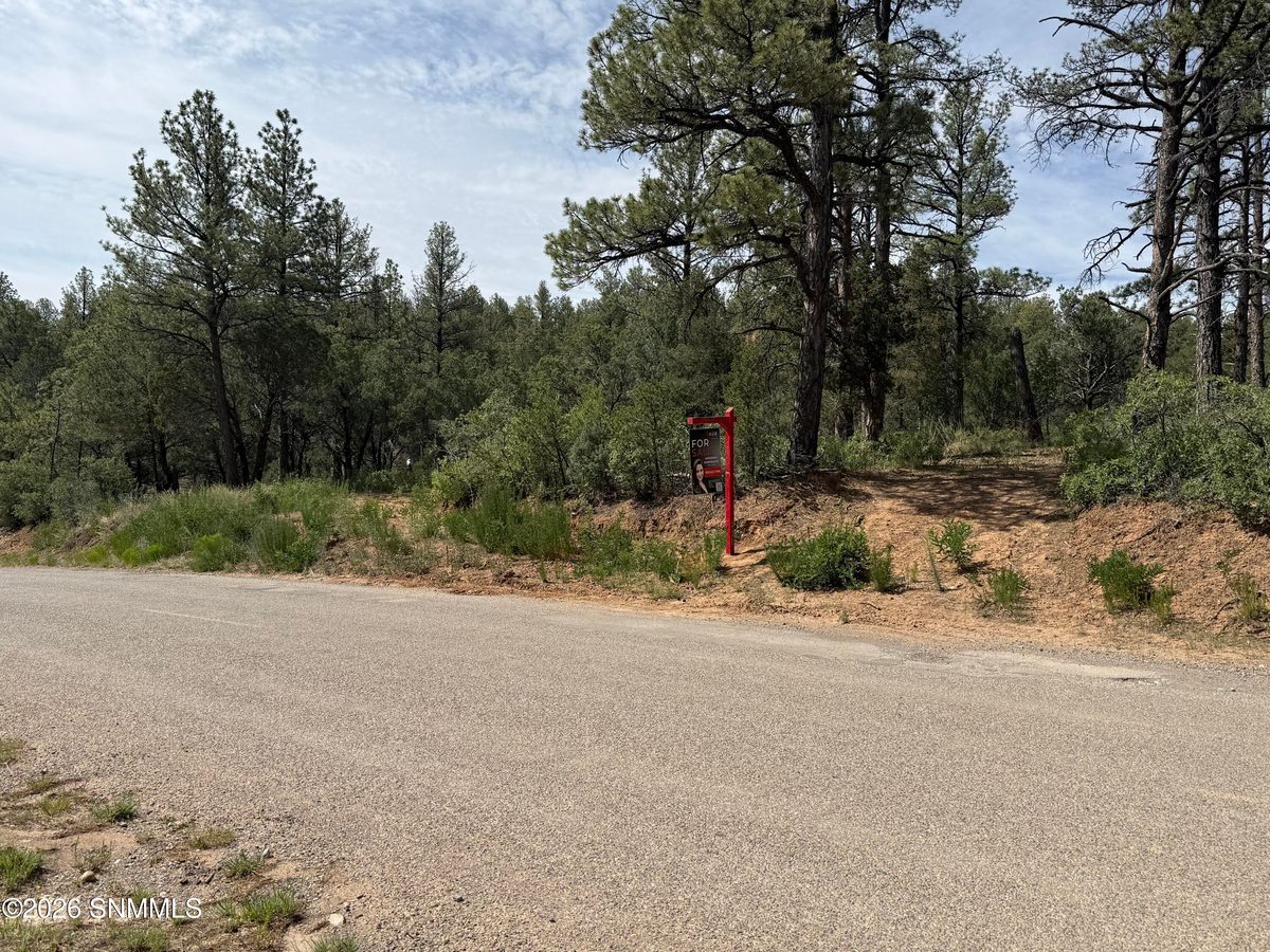 3 SACRAMENTO, Timberon, NM 88350 photo 7