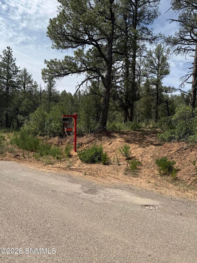 Terreno baldío en venta por $60,000: 3 SACRAMENTO, Timberon, NM
