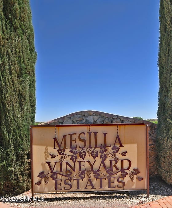 4425 Dulcinea Drive, Las Cruces, NM 88005 photo 2