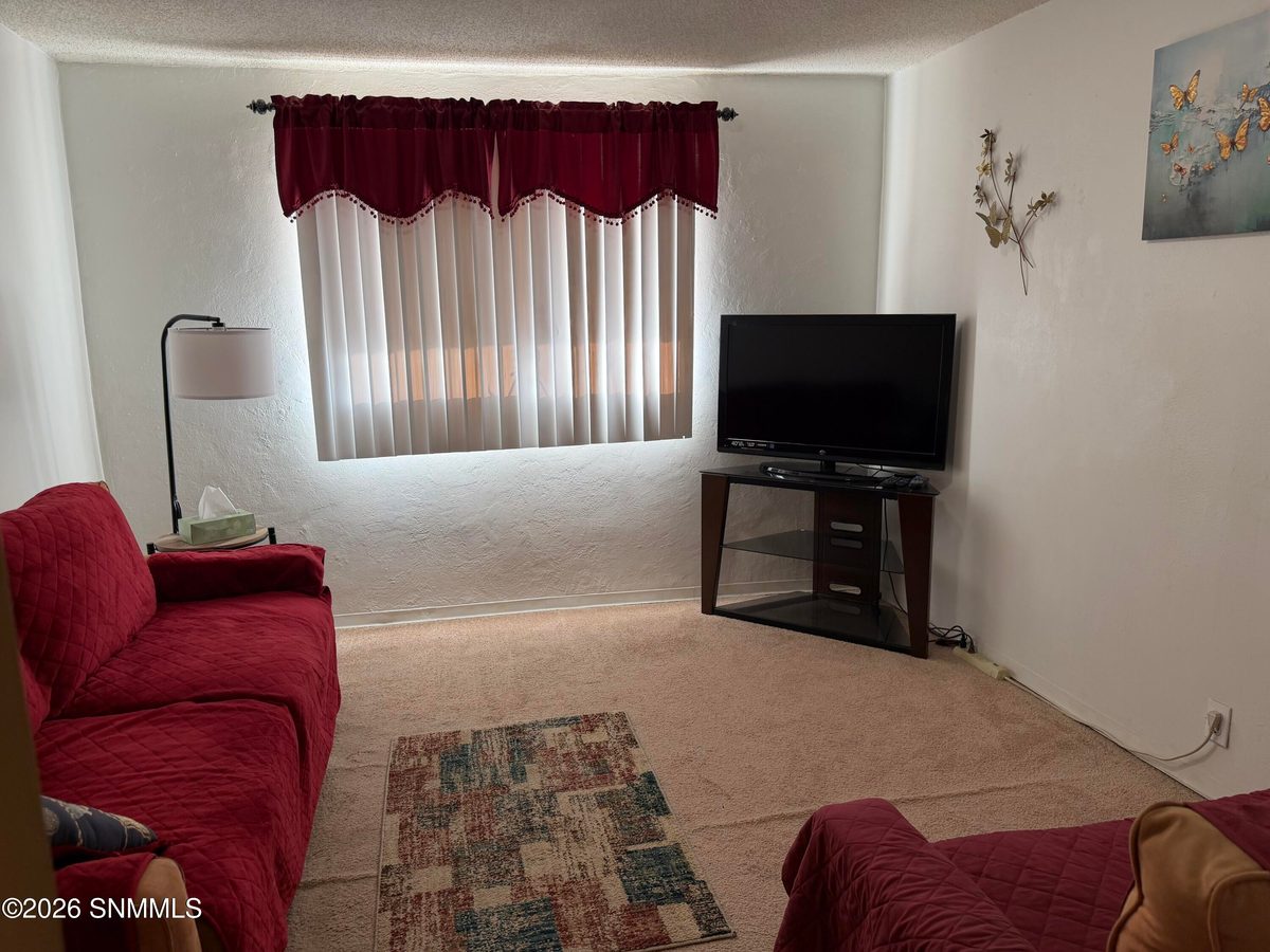 1109 Lincoln Street, Anthony, NM 88021 photo 9