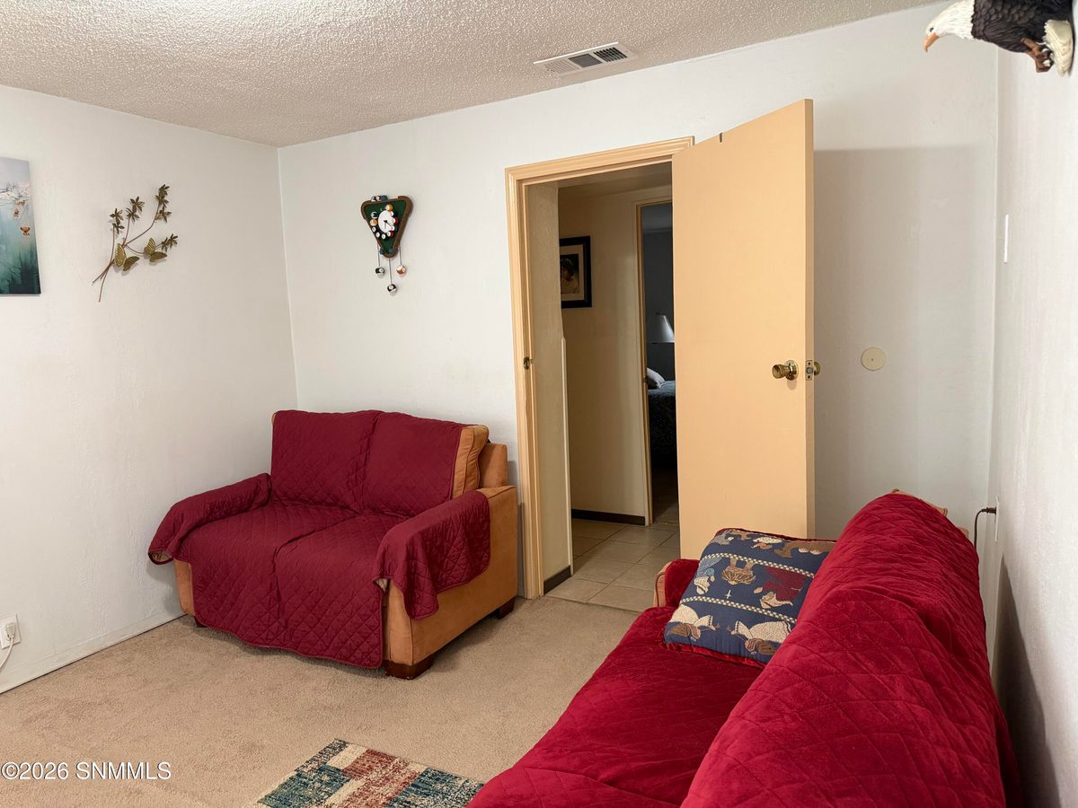 1109 Lincoln Street, Anthony, NM 88021 photo 10