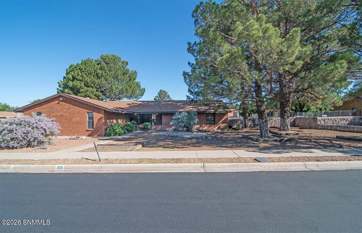 601 Lenox Avenue, Las Cruces, NM 88005 photo 1