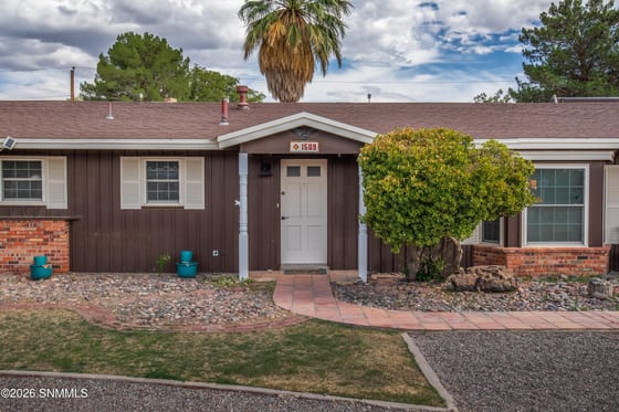 1509 San Andres Drive, Las Cruces, NM 88001 photo 4