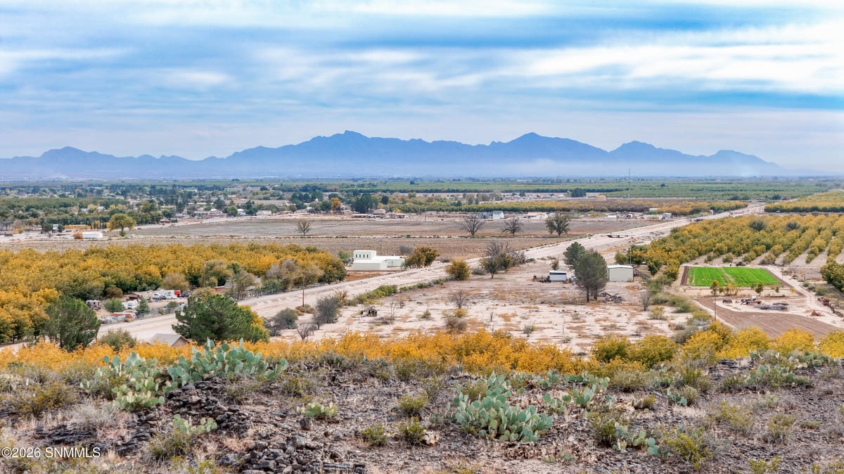 TBD County Road B10, La Mesa, NM 88044, foto 15