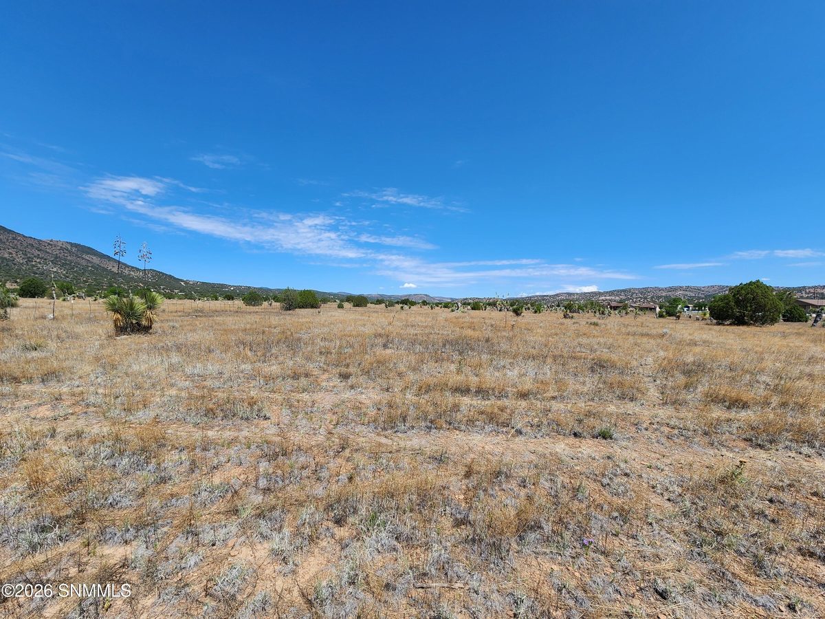 2871 Highway 35, Mimbres, NM 88049, foto 3