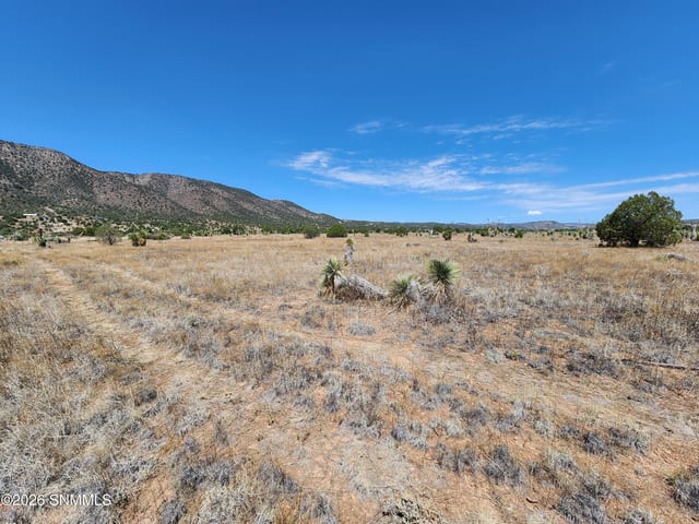 2871 Highway 35, Mimbres, NM 88049, foto 4