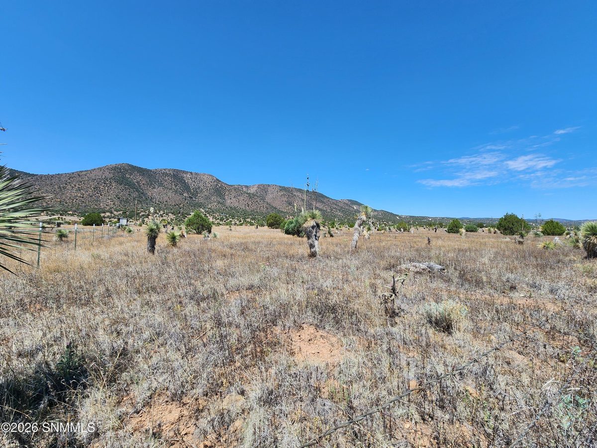 2871 Highway 35, Mimbres, NM 88049, foto 6