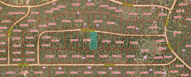 TBD Bronwood Dr, Timberon, NM 88350, foto 2