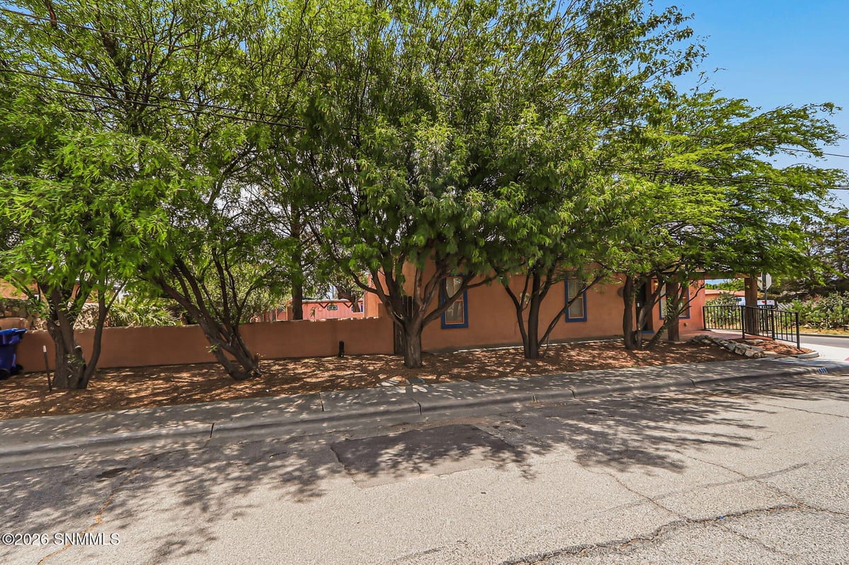 639 S San Pedro Street, Las Cruces, NM 88001 photo 2