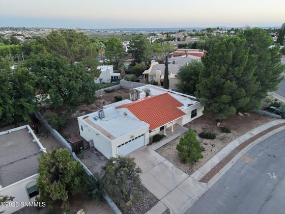 2253 Cimarron Drive, Las Cruces, NM 88011 photo 3