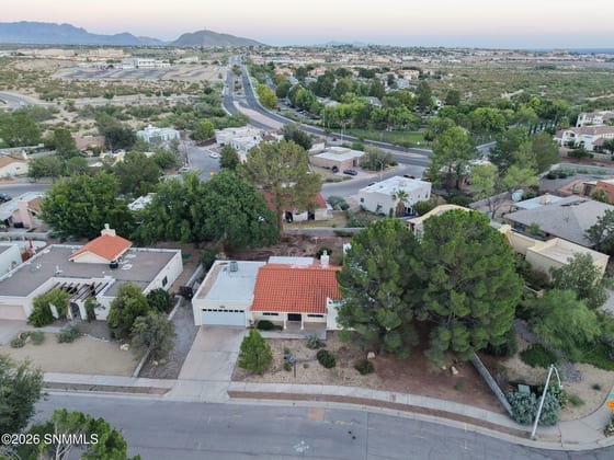 2253 Cimarron Drive, Las Cruces, NM 88011 photo 5