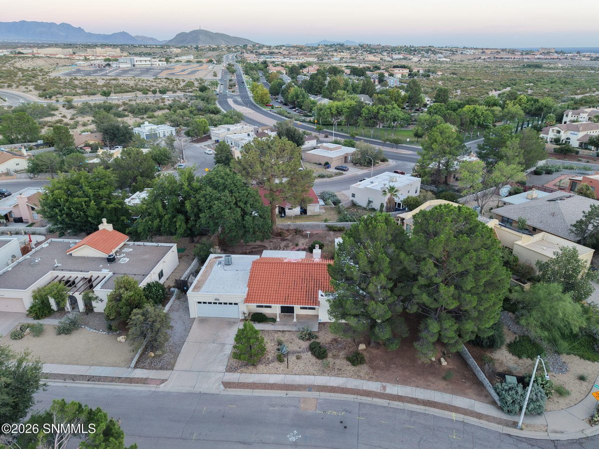 2253 Cimarron Drive, Las Cruces, NM 88011 photo 5