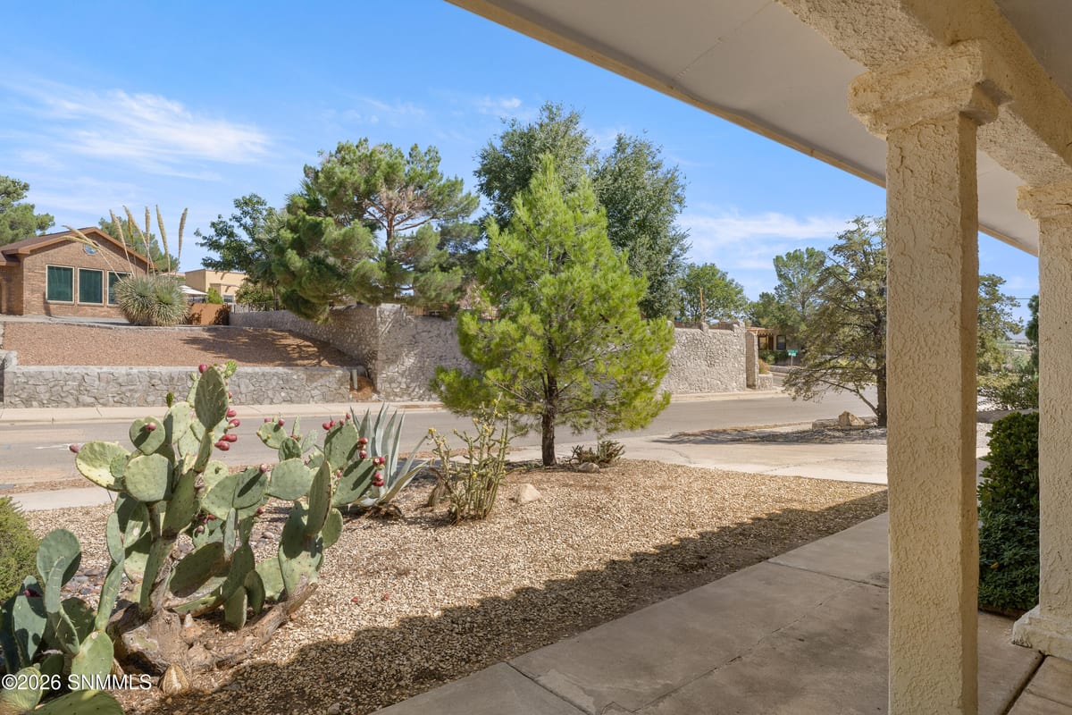 2253 Cimarron Drive, Las Cruces, NM 88011 photo 8