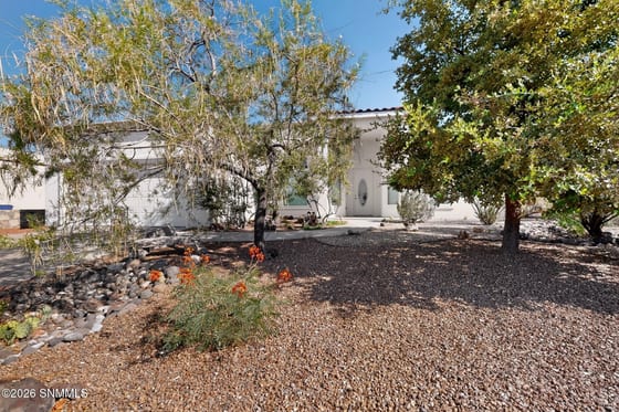 2933 E Springs Road, Las Cruces, NM 88011 photo 3