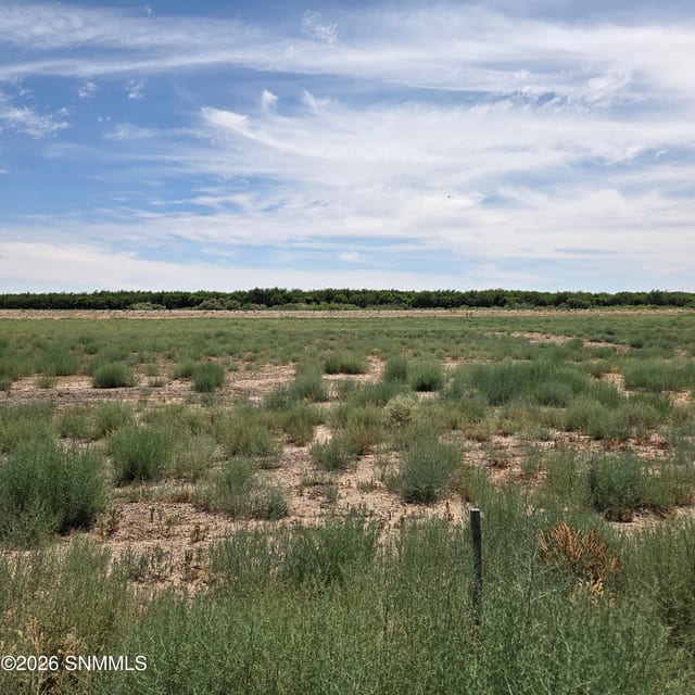 6525 Valle Del Rio Drive #2B, La Mesa, NM 88044, foto 2