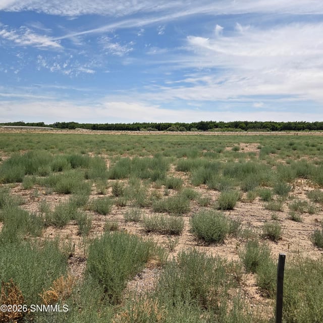 6525 Valle Del Rio Drive #2B, La Mesa, NM vacant land/acreage for sale at $120,000