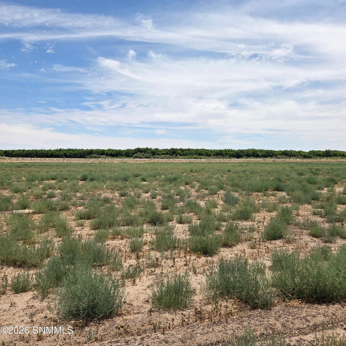 6525 Valle Del Rio Drive #2C, La Mesa, NM 88044, foto 2
