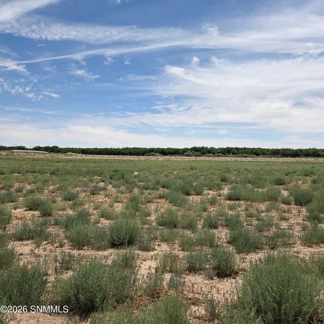 6525 Valle Del Rio Drive #2C, La Mesa, NM vacant land/acreage for sale at $120,000