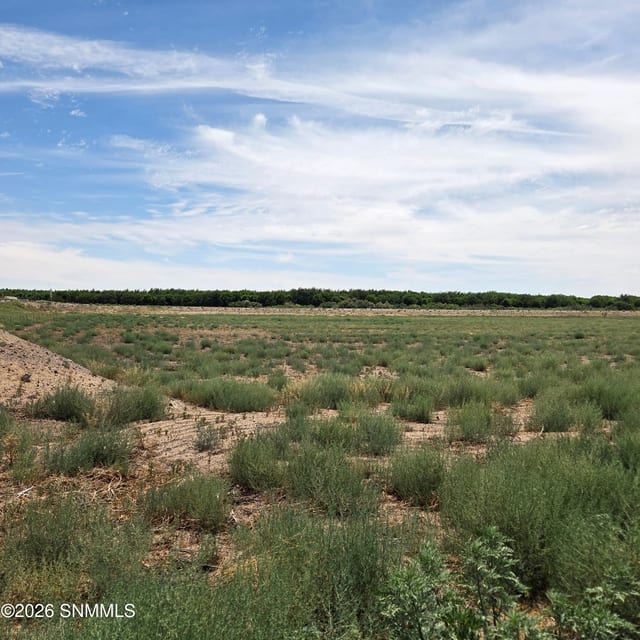 6525 Valle Del Rio Drive #2D, La Mesa, NM 88044, foto 2