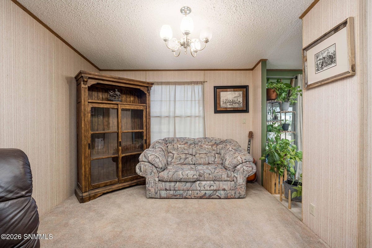 9825 Spur Lane, Las Cruces, NM 88012 photo 11
