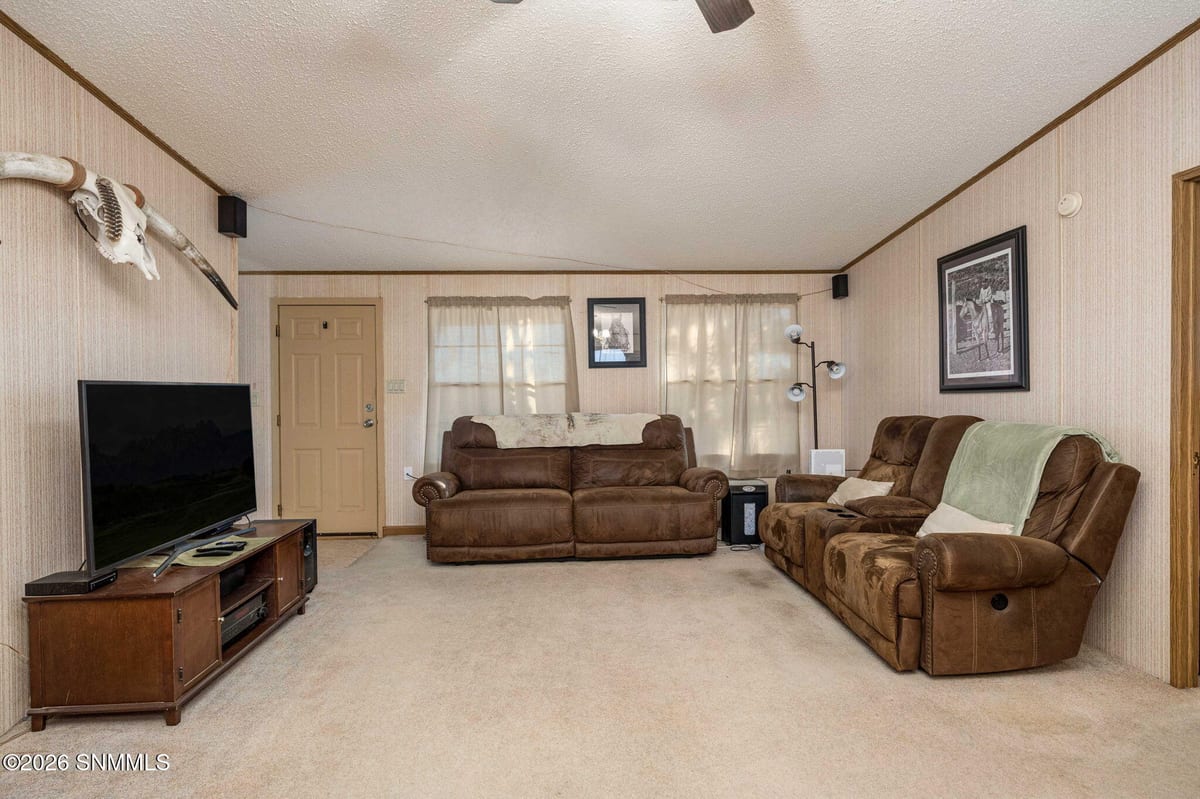 9825 Spur Lane, Las Cruces, NM 88012 photo 9