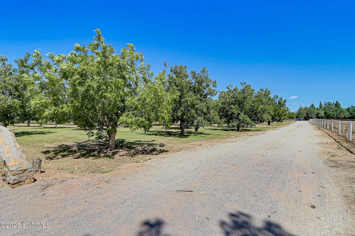 10917 N Valley Drive, Las Cruces, NM 88007 photo 11