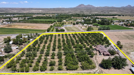 10917 N Valley Drive, Las Cruces, NM 88007 photo 5
