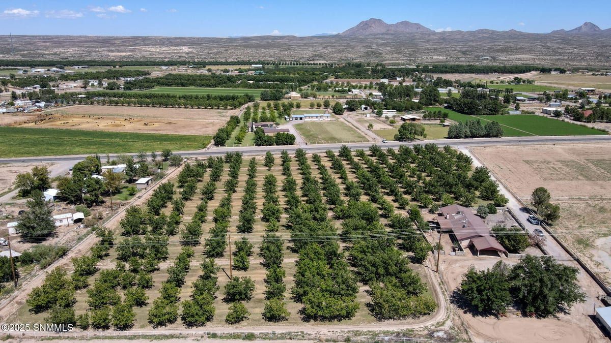 10917 N Valley Drive, Las Cruces, NM 88007 photo 6