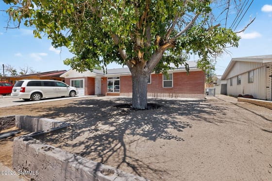 1135 Larry Drive, Las Cruces, NM 88001 photo 3